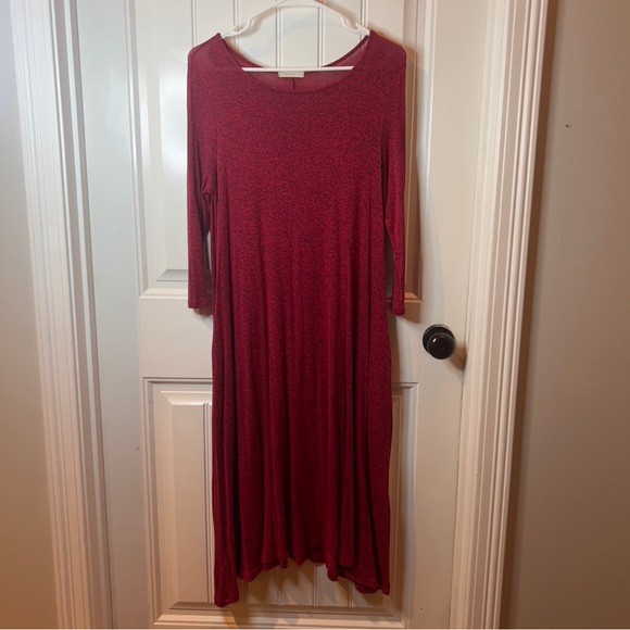 Reborn J Dresses & Skirts - GUC Reborn J swing dress, size M